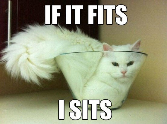 IF IT FITS ISITS