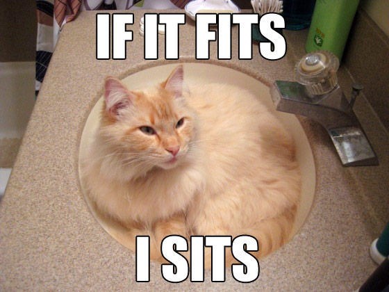 IF IT FITS I SITS