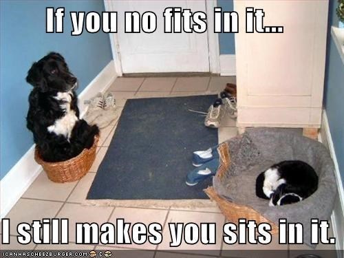 If you no fits in it... I still makes you sits in it. ICANHASCHEEZBURGER.COM