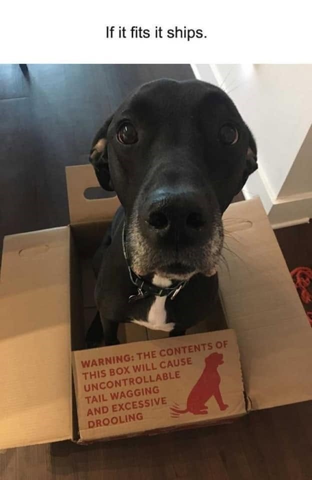 If it fits it ships. WARNING: THE CONTENTS OF THIS BOX WILL CAUSE UNCONTROLLABLE TAIL WAGGING AND EXCESSIVE DROOLING