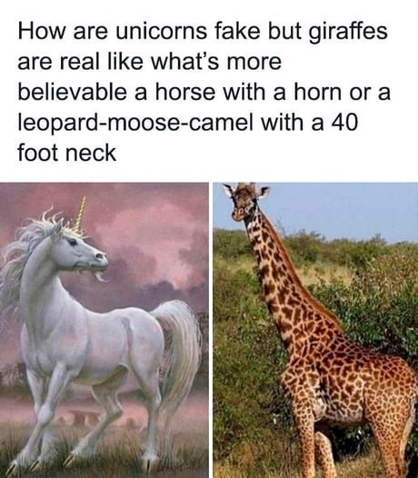 How are unicorns fake but giraffes are real like what's more believable a horse with a horn or a leopard-moose-camel with a 40 foot neck