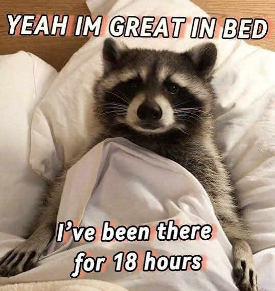 YEAH IM GREAT IN BED I've been there for 18 hours