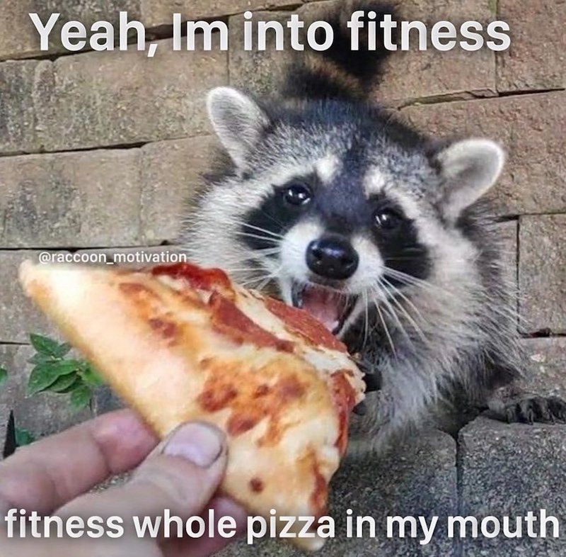 Yeah, Im into fitness @raccoon_motivation fitness whole pizza in my mouth