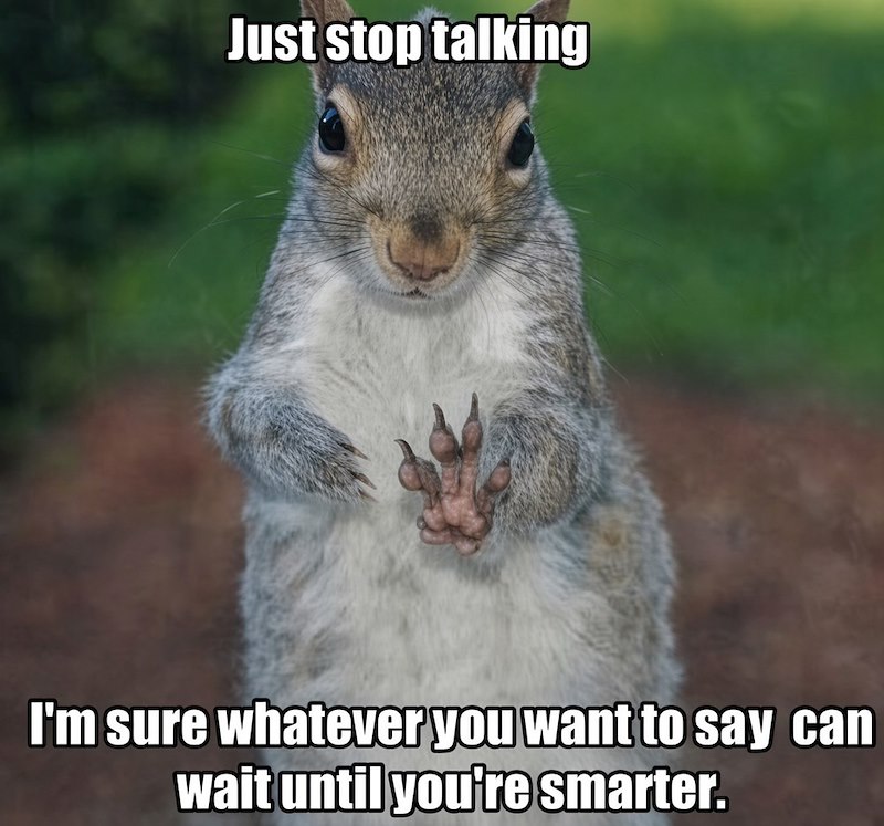 Just stop talking I'm sure whatever you want to say can wait until you're smarter.