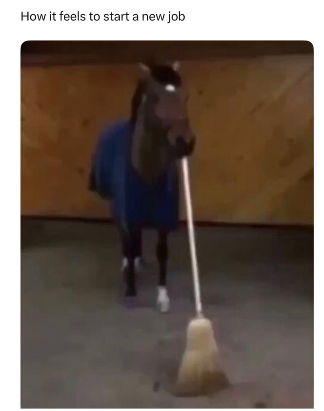 How it feels to start a new job