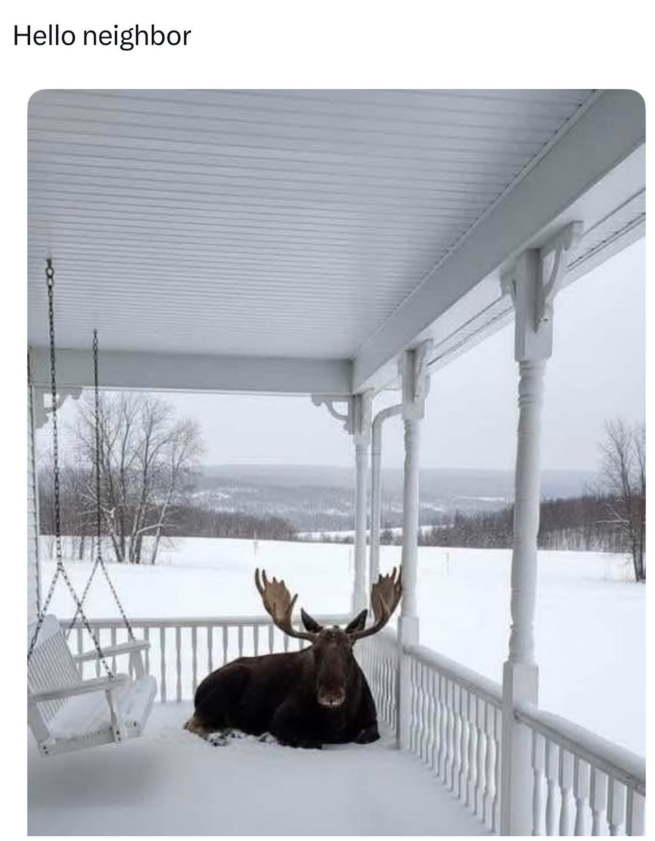 Hello neighbor