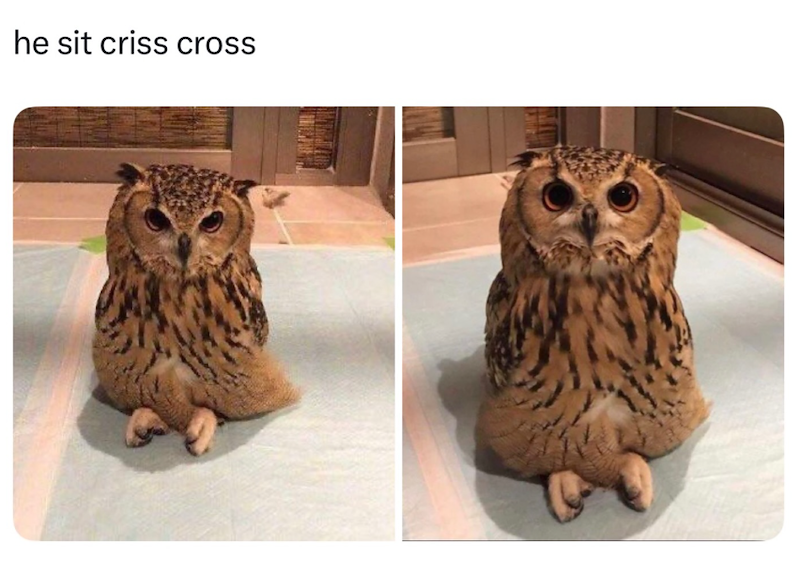 he sit criss cross