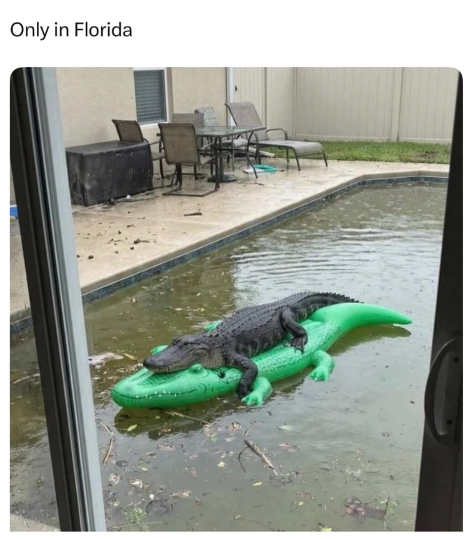 Only in Florida