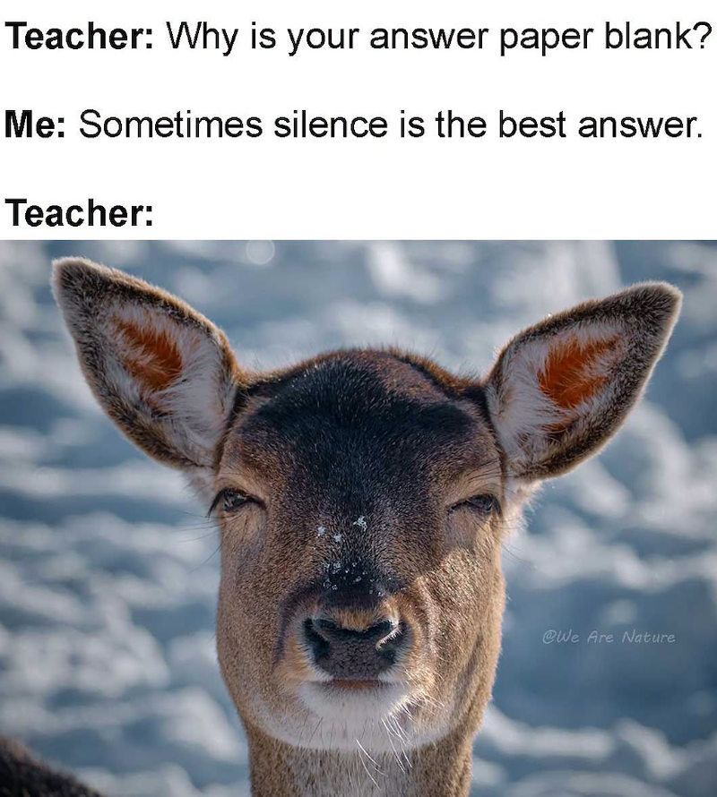 Teacher: Why is your answer paper blank? Me: Sometimes silence is the best answer. Teacher: @We Are Nature