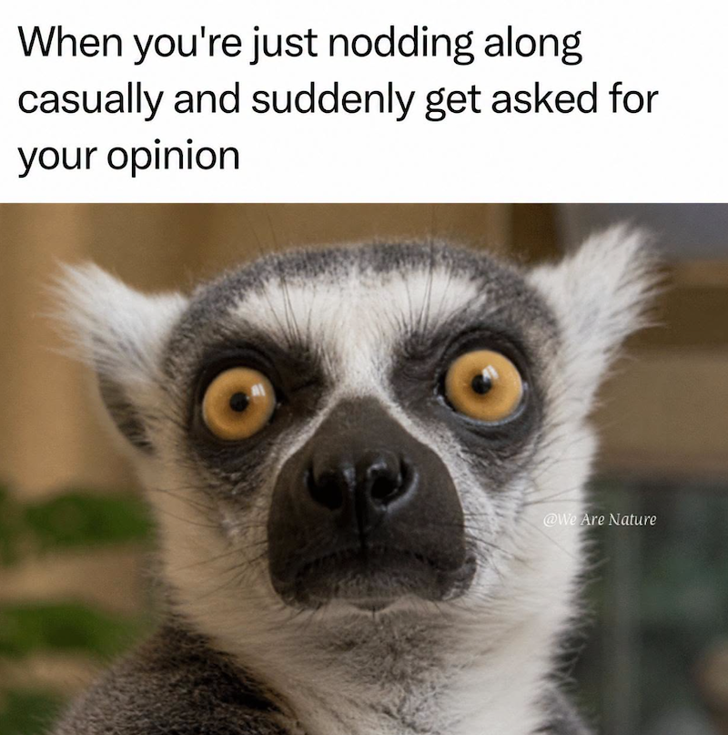 When you're just nodding along casually and suddenly get asked for your opinion @We Are Nature