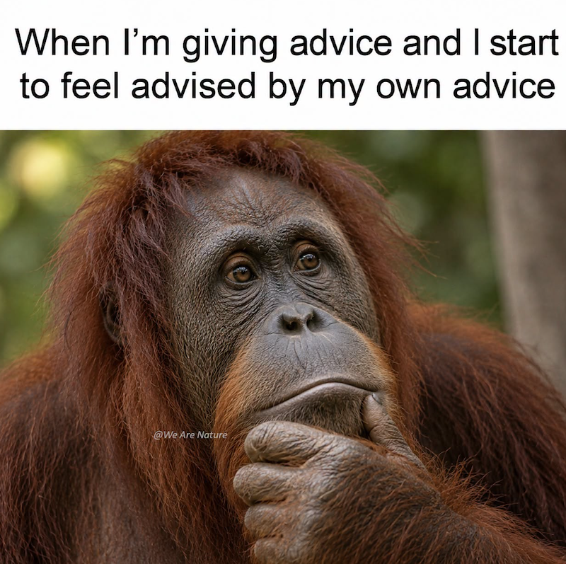 When I'm giving advice and I start to feel advised by my own advice @We Are Nature