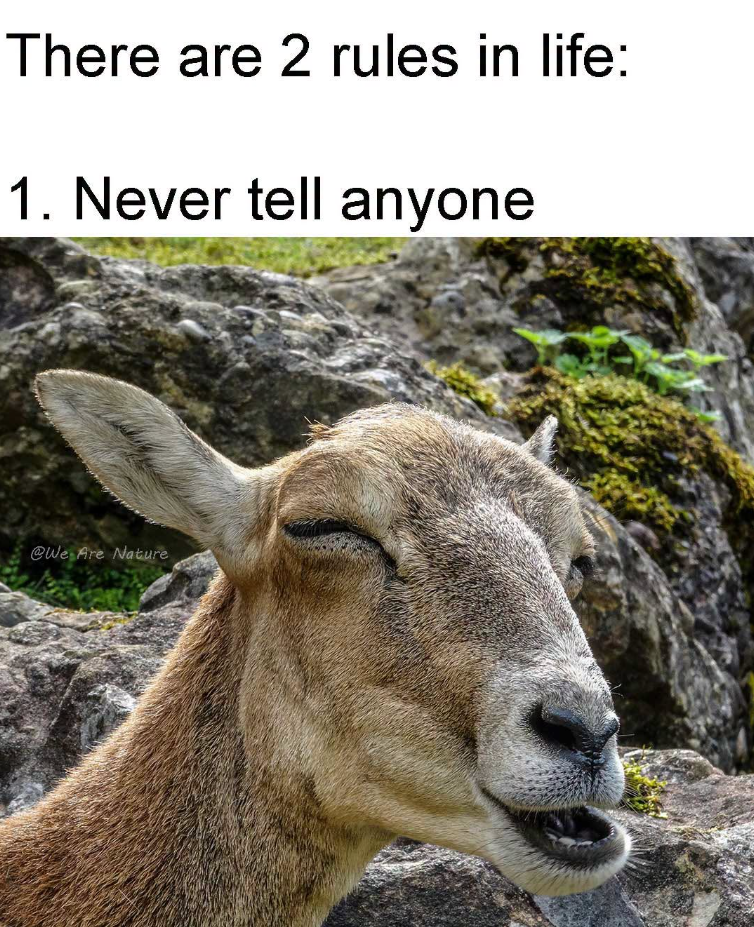 There are 2 rules in life: 1. Never tell anyone @We Are Nature