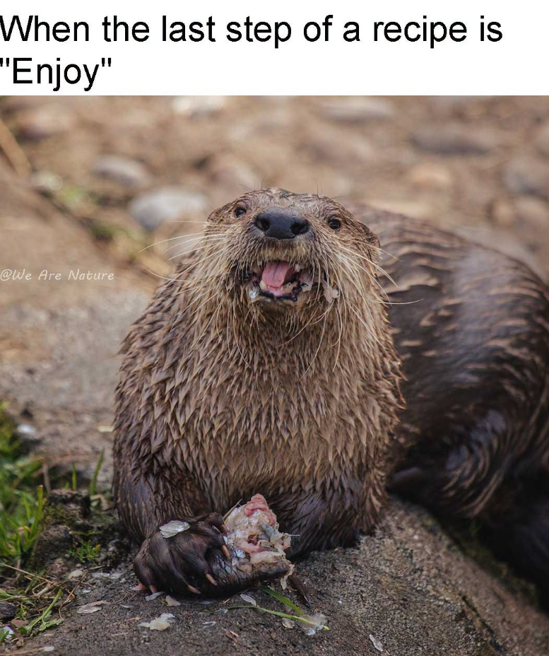 When the last step of a recipe is "Enjoy" @We Are Nature