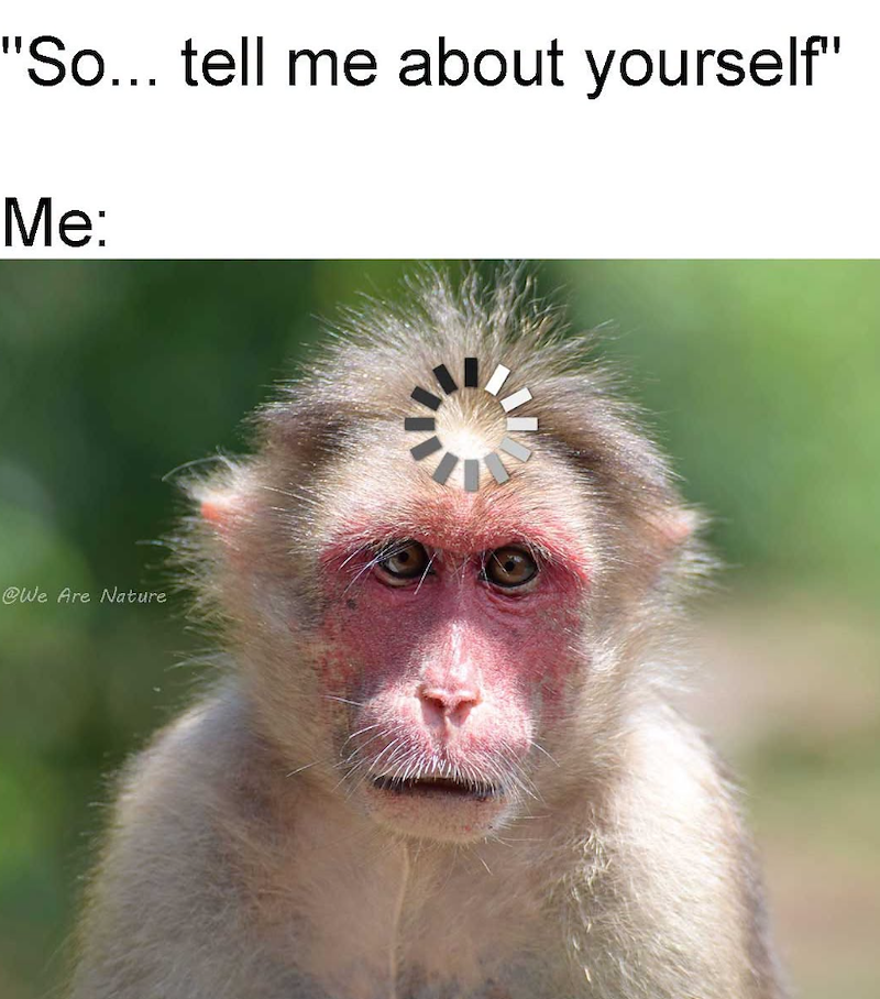 "So... tell me about yourself" Me: @We Are Nature