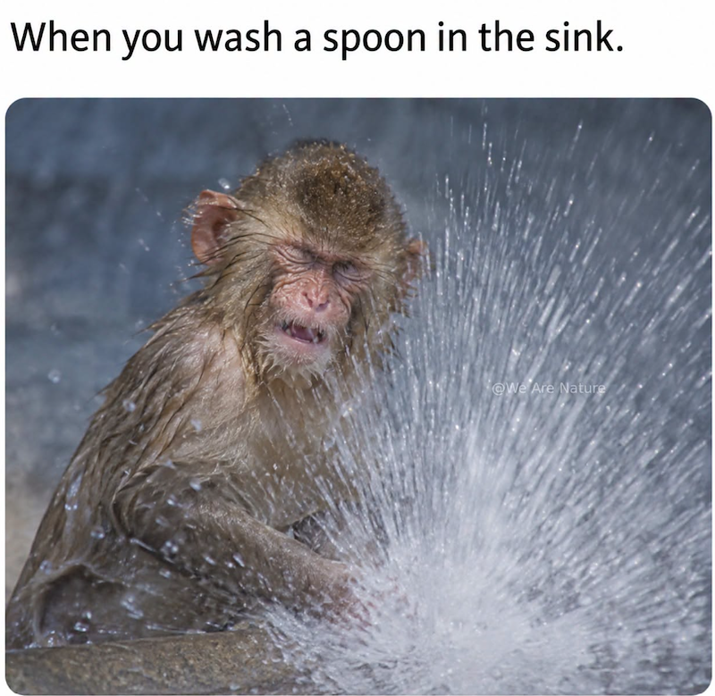 When you wash a spoon in the sink. @We Are Nature