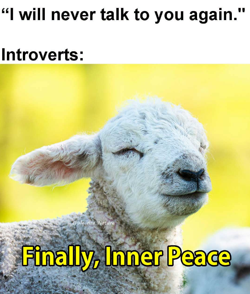 "I will never talk to you again." Introverts: @We Are Nature Finally, Inner Peace