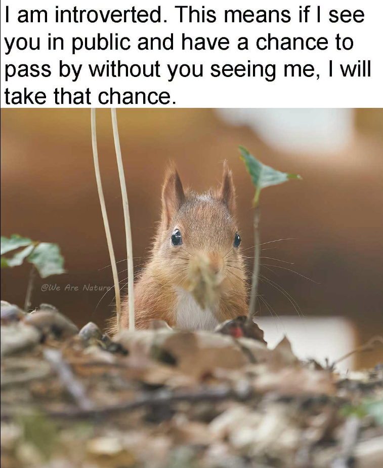 I am introverted. This means if I see you in public and have a chance to pass by without you seeing me, I will take that chance. @We Are Nature