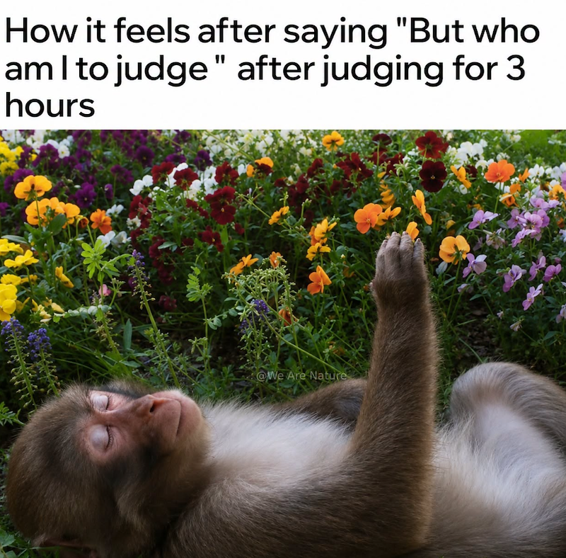 How it feels after saying "But who am I to judge" after judging for 3 hours @We Are Nature
