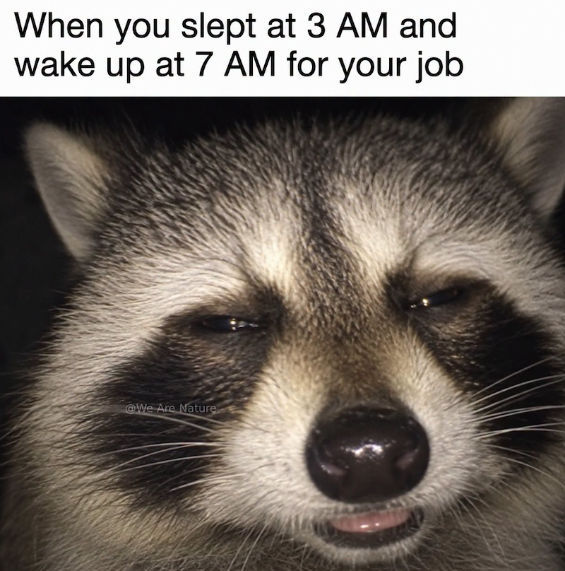 When you slept at 3 AM and wake up at 7 AM for your job @We Are Nature