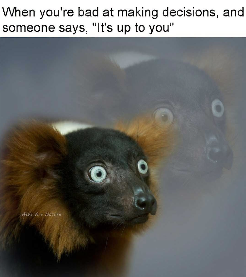 When you're bad at making decisions, and someone says, "It's up to you" @We Are Nature