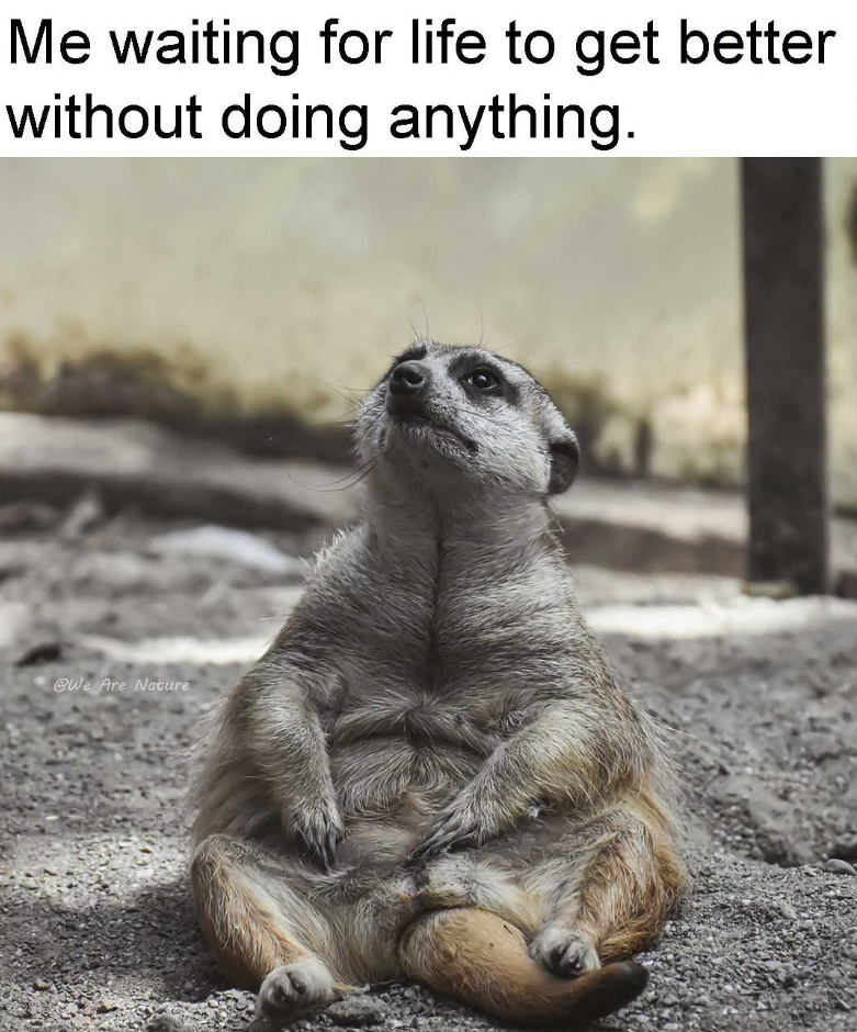 Me waiting for life to get better without doing anything. @We Are Nature