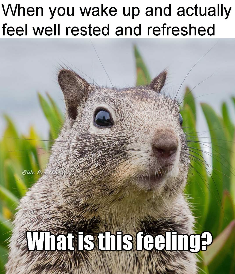 When you wake up and actually feel well rested and refreshed @We Are Nature What is this feeling?