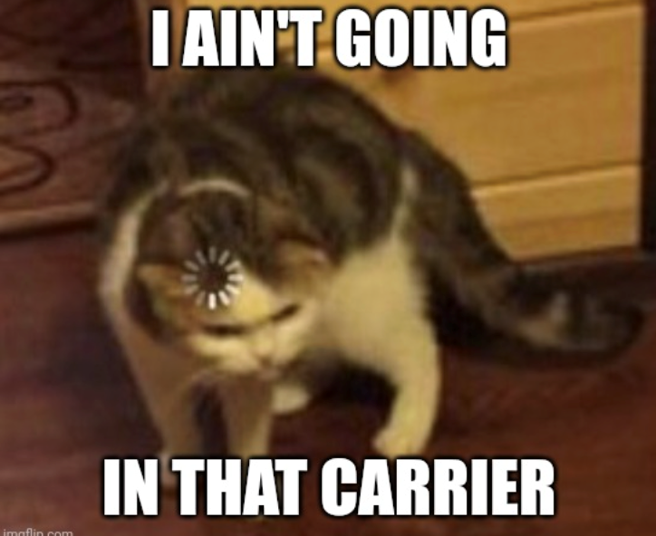 imaflin.com I AIN'T GOING IN THAT CARRIER