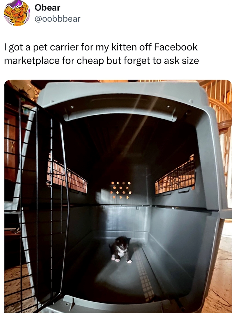Obear @oobbbear I got a pet carrier for my kitten off Facebook marketplace for cheap but forget to ask size