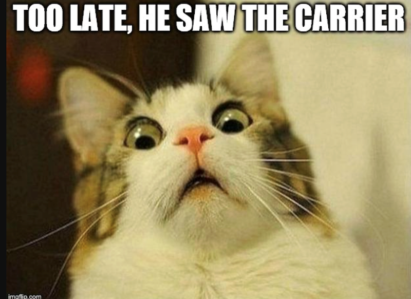 TOO LATE, HE SAW THE CARRIER imgflip.com