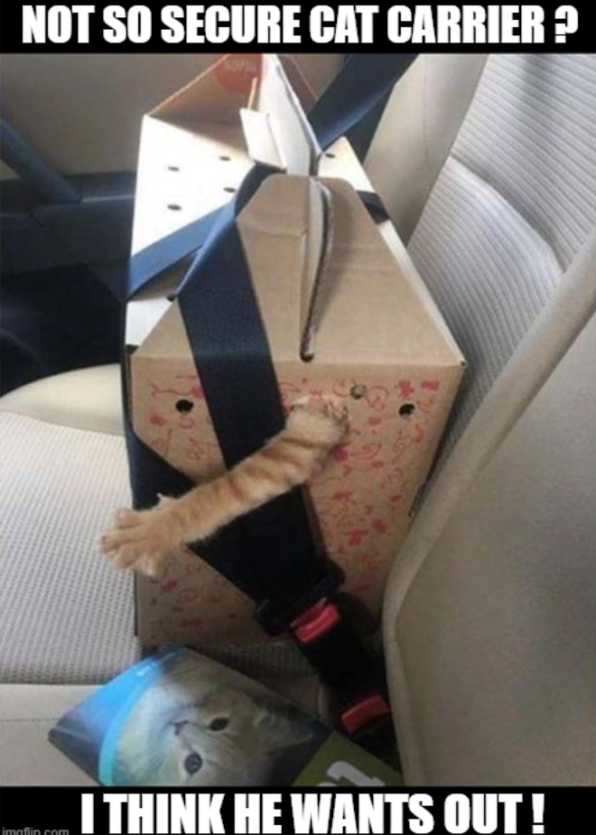 NOT SO SECURE CAT CARRIER ? imaflin.com I THINK HE WANTS OUT!