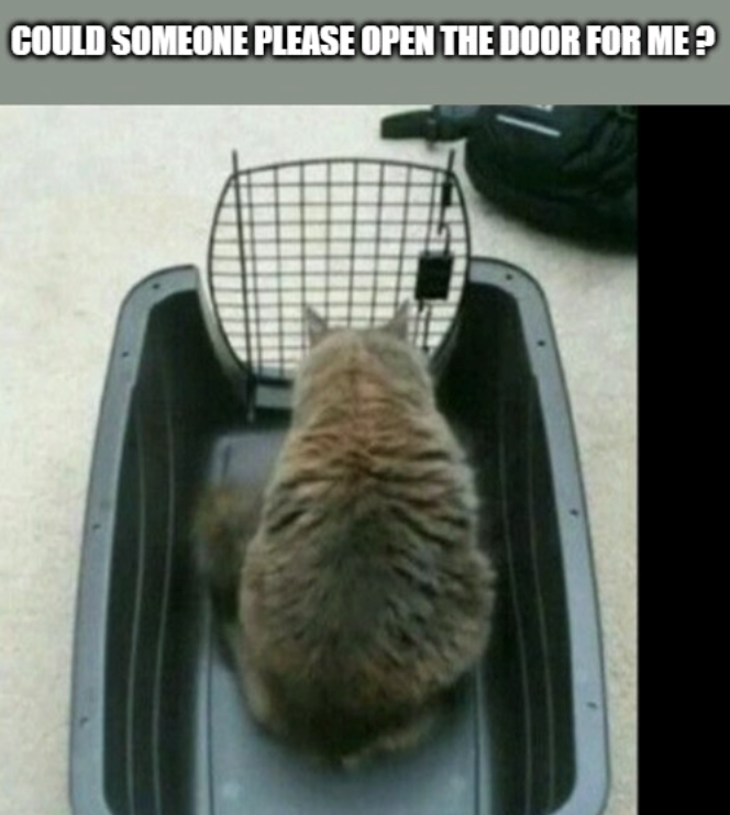 COULD SOMEONE PLEASE OPEN THE DOOR FOR ME?