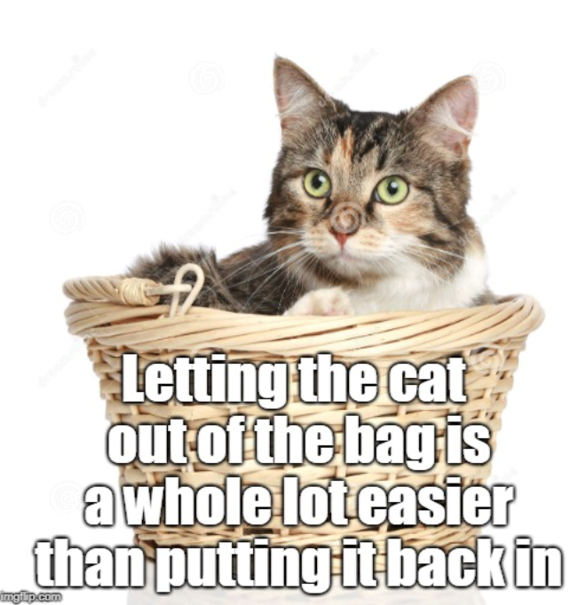 Letting the cat out of the bag is a whole lot easier than putting it back in imgflip.com