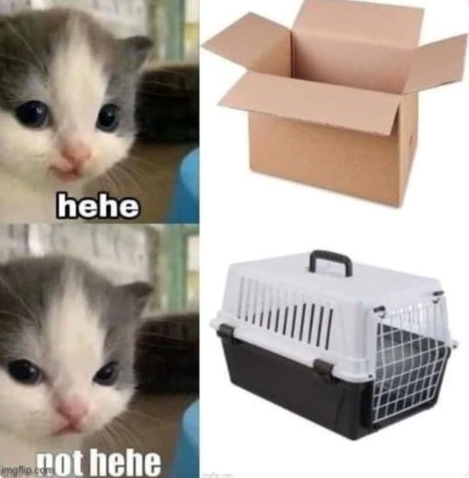 hehe imgflip.com not hehe