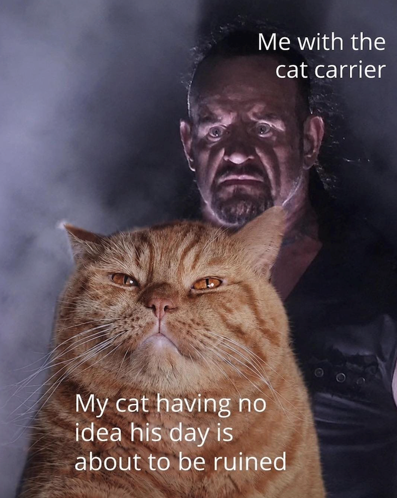 Me with the cat carrier My cat having no idea his day is about to be ruined