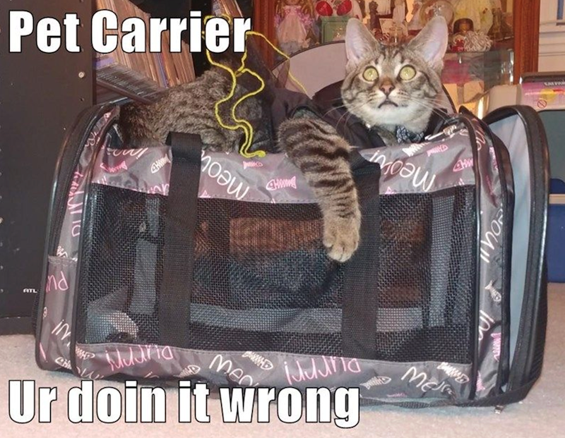 Pet Carrier 4H วอน 4ww 4W 9> ATL nd in Muuria Me Ur doin it wrong Me SALA