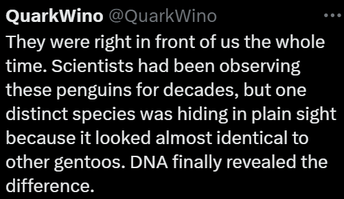 QuarkWino @QuarkWino They were right in front of us the whole time. Scientists had been observing these penguins for decades, but one distinct species was hiding in plain sight because it looked almost identical to other gentoos. DNA finally revealed the difference.