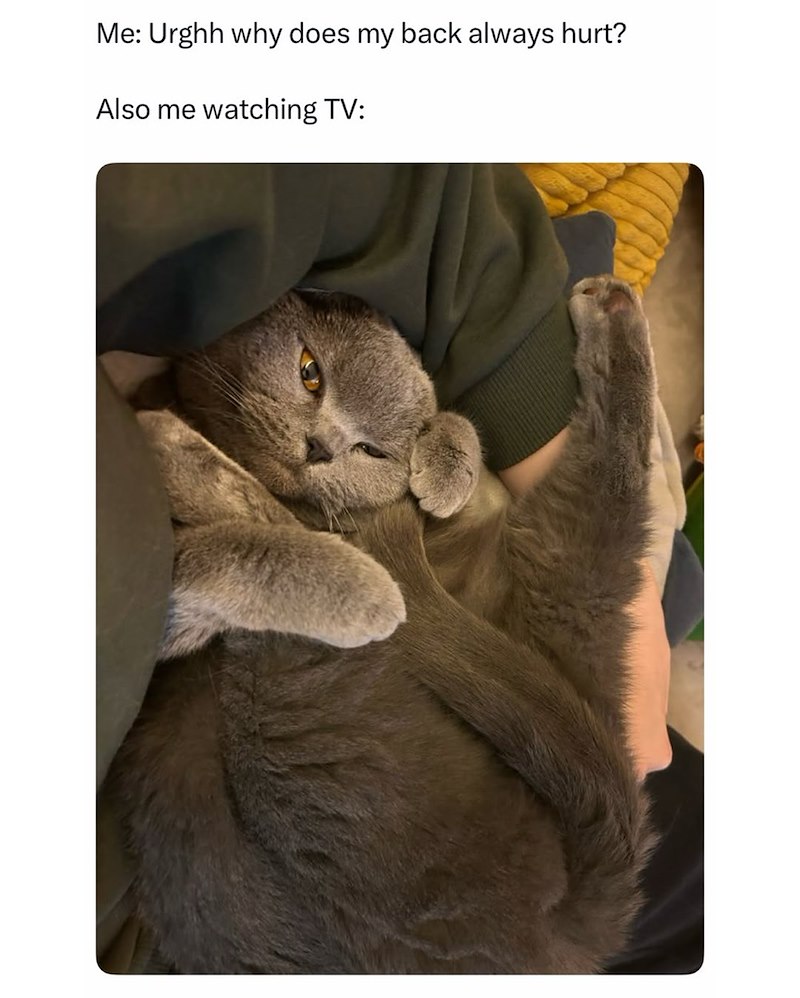 Me: Urghh why does my back always hurt? Also me watching TV: