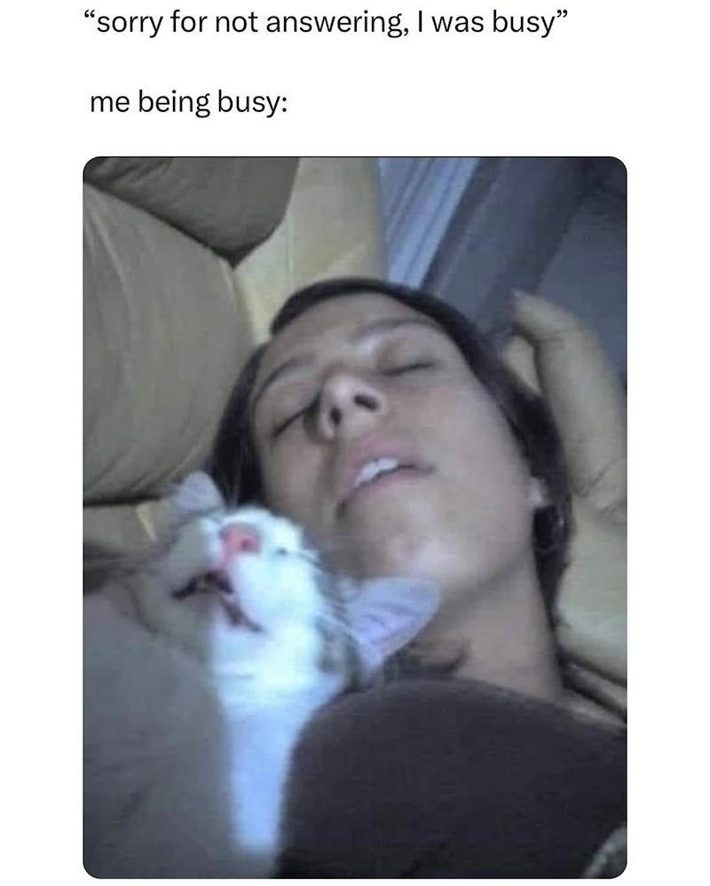 "sorry for not answering, I was busy" me being busy: