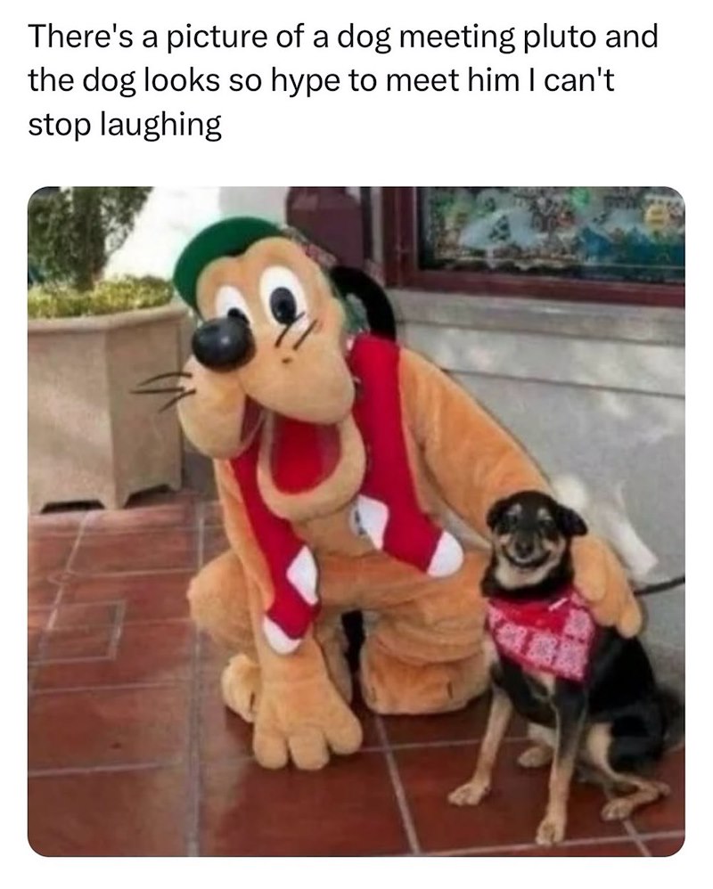 There's a picture of a dog meeting pluto and the dog looks so hype to meet him I can't stop laughing