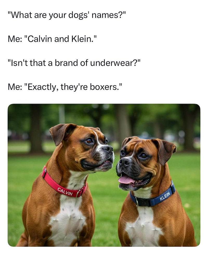 "What are your dogs' names?" Me: "Calvin and Klein." "Isn't that a brand of underwear?" Me: "Exactly, they're boxers." CALVIN KLEIN