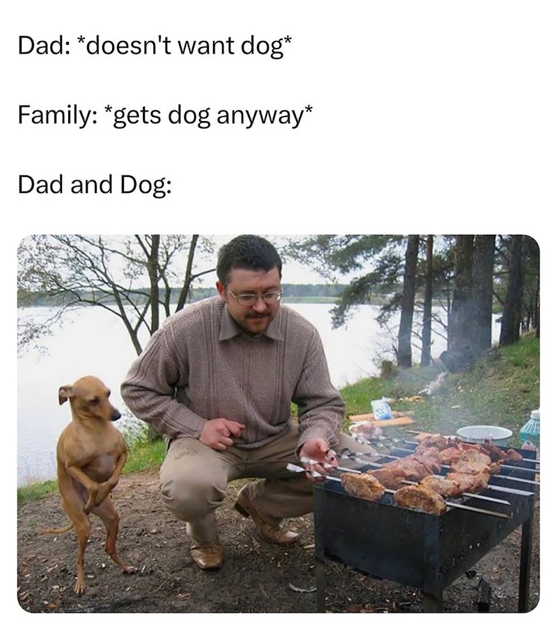 Dad: *doesn't want dog* Family: *gets dog anyway* Dad and Dog: