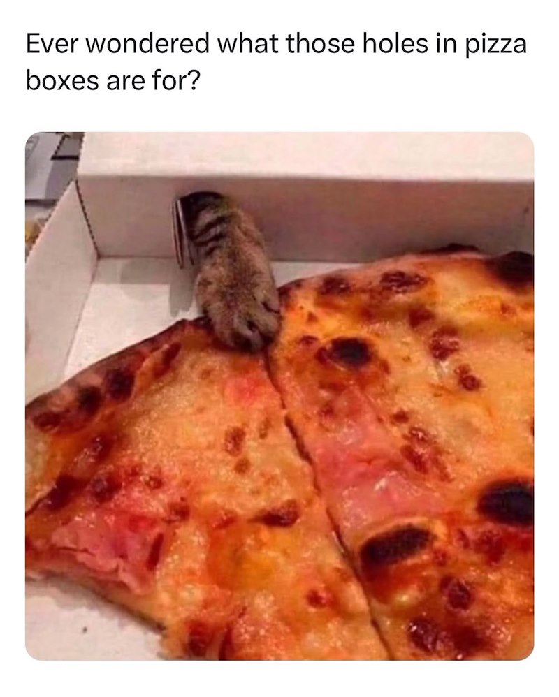 Ever wondered what those holes in pizza. boxes are for?