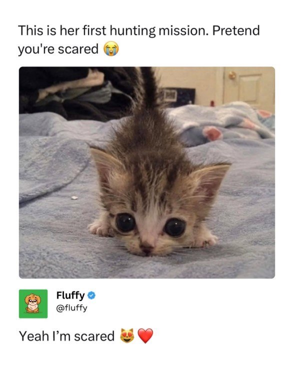 This is her first hunting mission. Pretend you're scared Fluffy @fluffy Yeah I'm scared