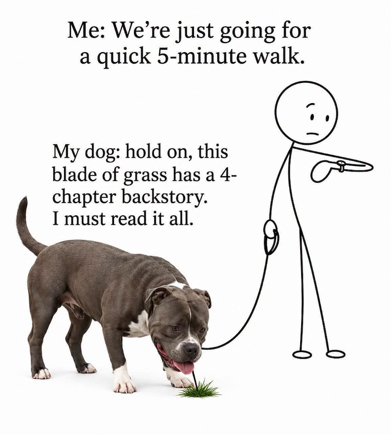 Me: We're just going for a quick 5-minute walk. My dog: hold on, this blade of grass has a 4- chapter backstory. I must read it all.