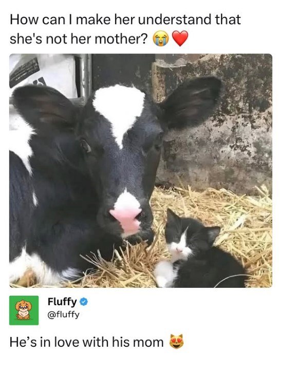 How can I make her understand that she's not her mother? Fluffy @fluffy He's in love with his mom
