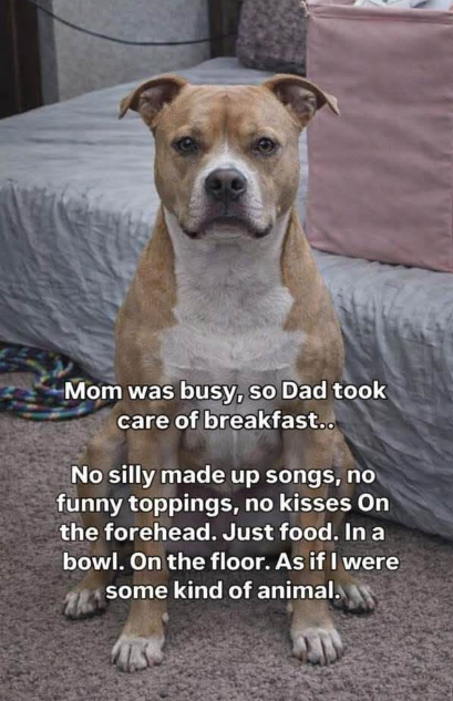 Mom was busy, so Dad took care of breakfast.. No silly made up songs, no funny toppings, no kisses On the forehead. Just food. In a bowl. On the floor. As if I were some kind of animal.