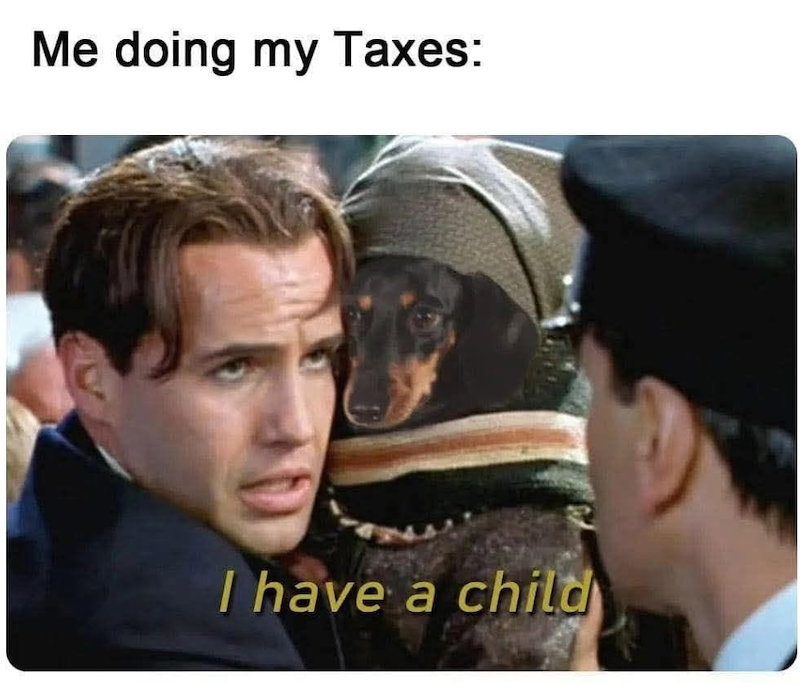 Me doing my Taxes: I have a child