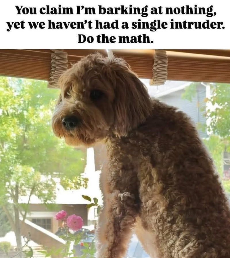 You claim I'm barking at nothing, yet we haven't had a single intruder. Do the math.