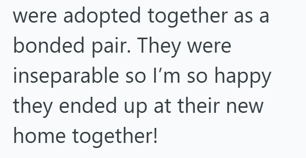 were adopted together as a bonded pair. They were inseparable so I'm so happy they ended up at their new home together!