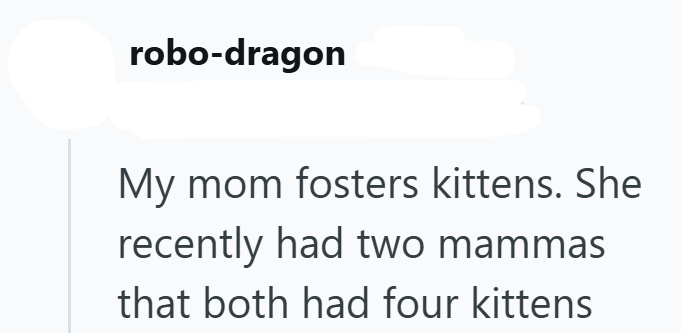 robo-dragon My mom fosters kittens. She recently had two mammas that both had four kittens